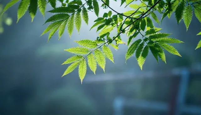 医疗机构选型中成本控制的关键考量因素